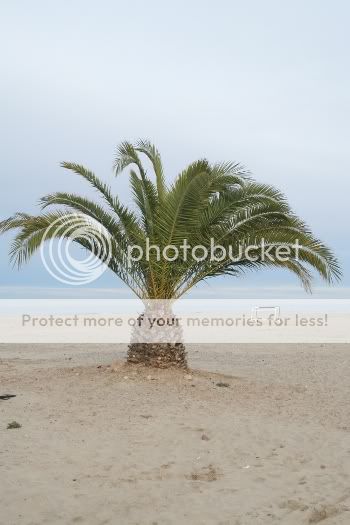 beachFeb.jpg